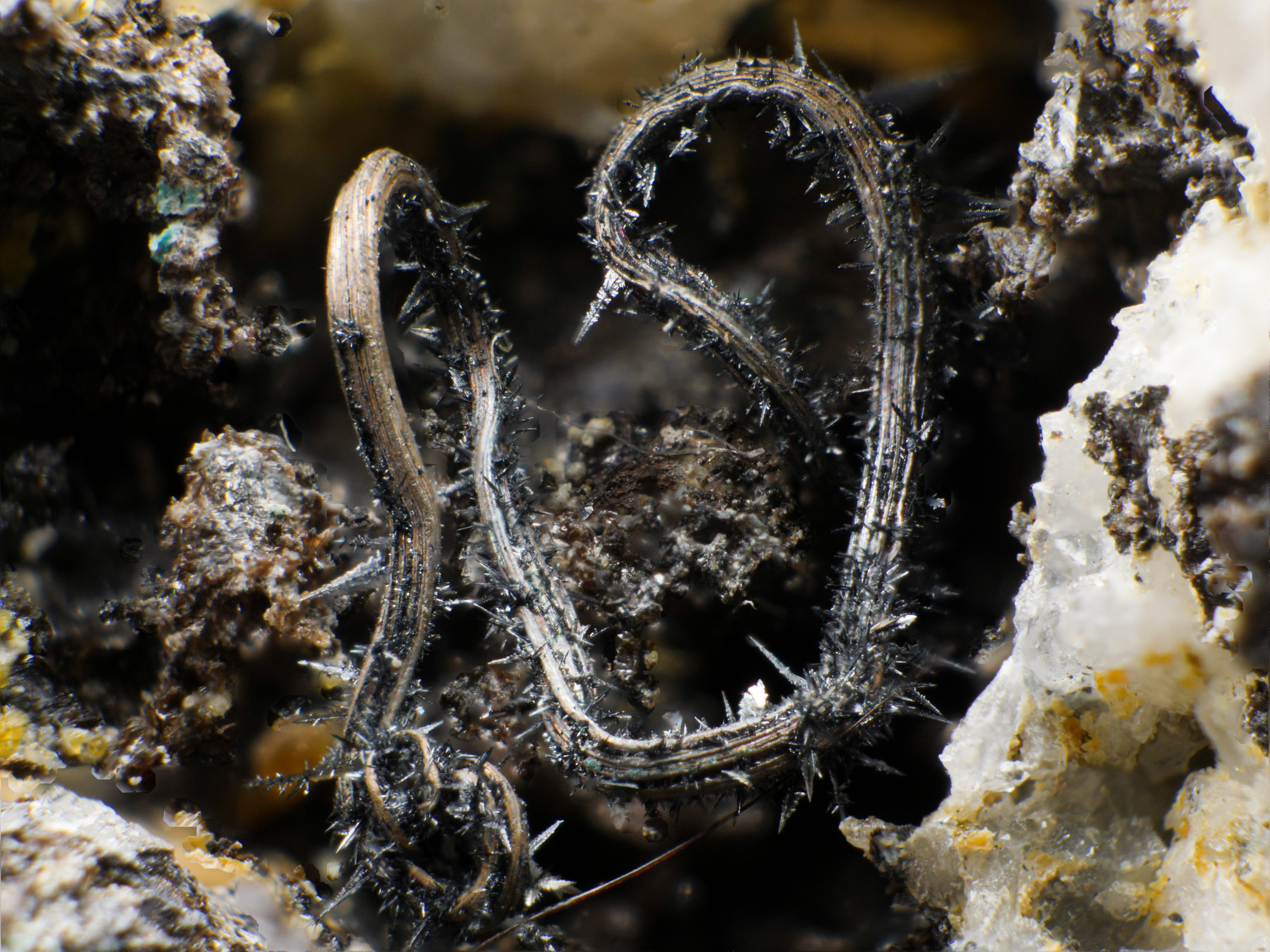 La théorie de l’évolution minérale